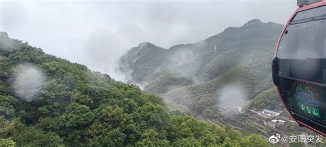 下巴有白毛 遙知兄弟登高處遍差茱萸少一人季節